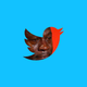 Illustration for article titled Twitter, Depressingly, Tries to Be Snapchat
